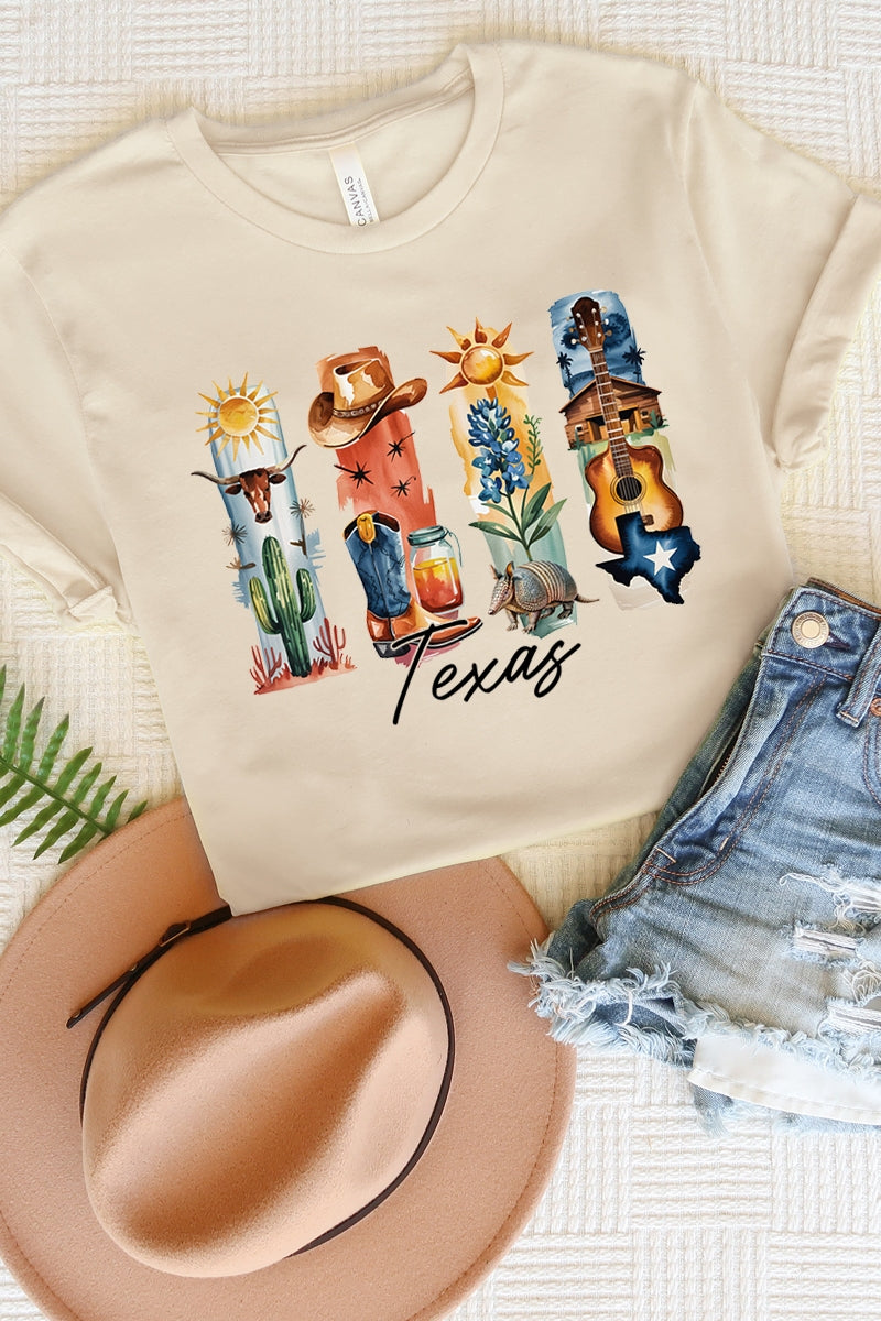 US3001P-E3061TX Texas State Brushstroke Graphic Plus Tee $16