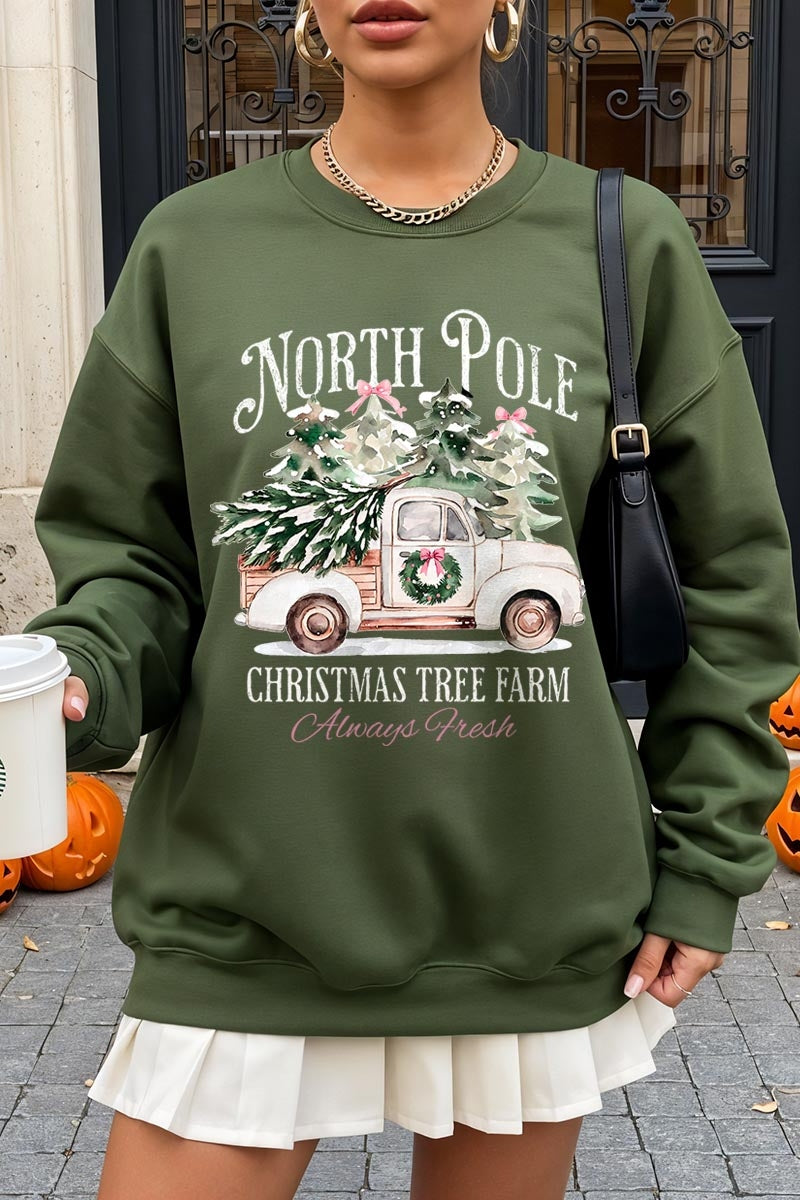 UL180-E3174 North Pole Christmas Graphic Sweatshirt $20