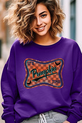 UL180-E3144 Itu2019s pumpkin time Graphic Sweatshirt $20