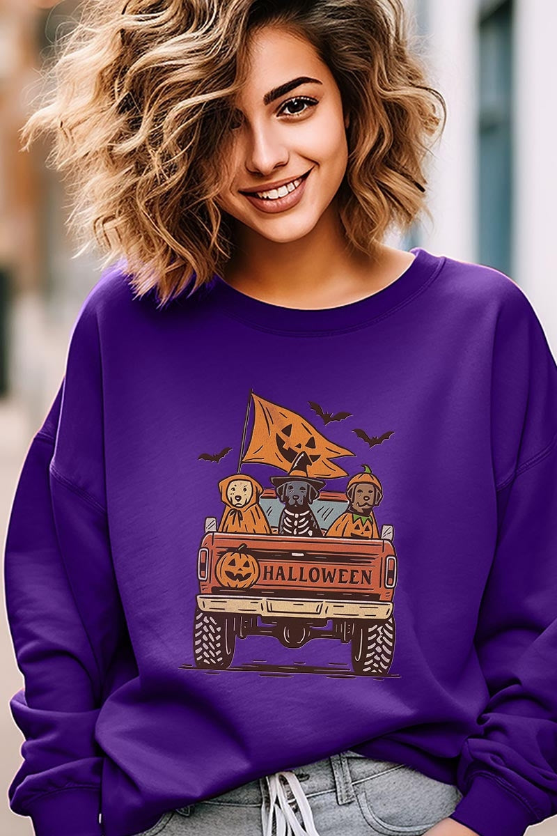 UL180P-E3150 Halloween Truck Dogs Graphic Plus Sweatshirt $25