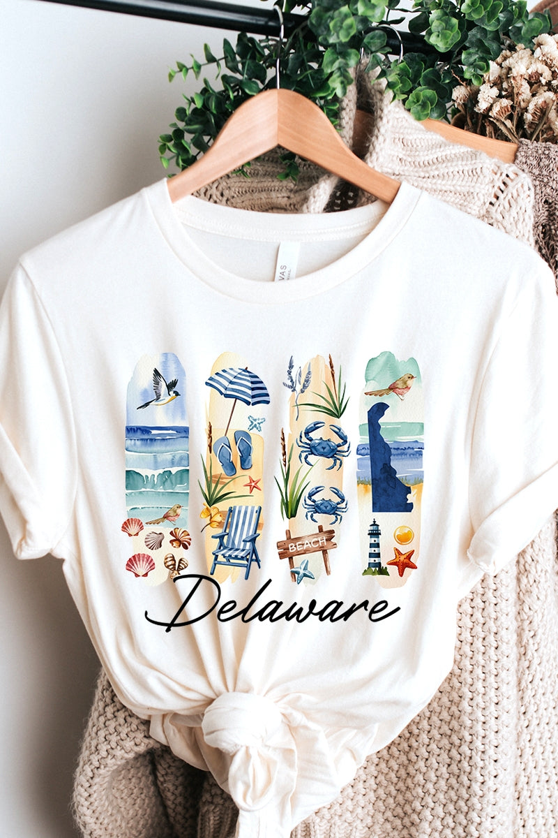 US3001P-E3061DE Delaware State Brushstroke Graphic Plus Tee $16