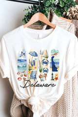 US3001-E3061DE Delaware State Brushstroke Graphic Tee $12.5