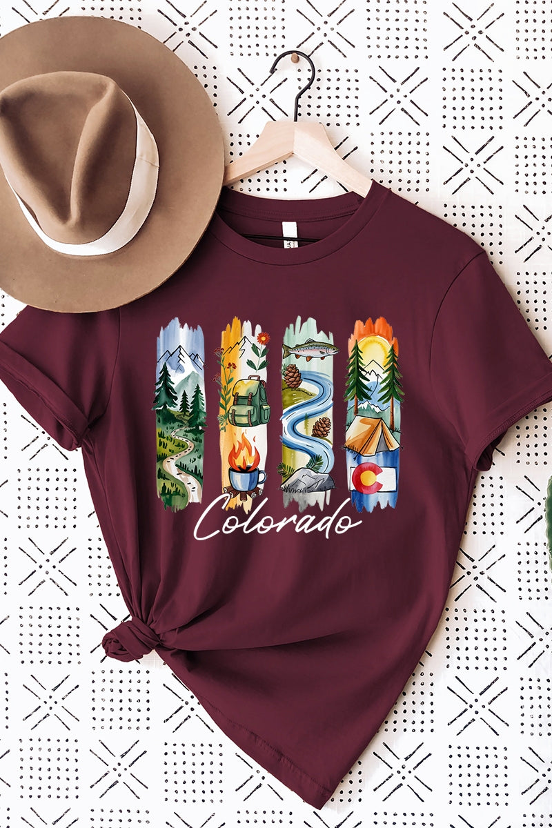 US3001-E3061CO Colorado State Brushstroke Graphic Tee $12.5