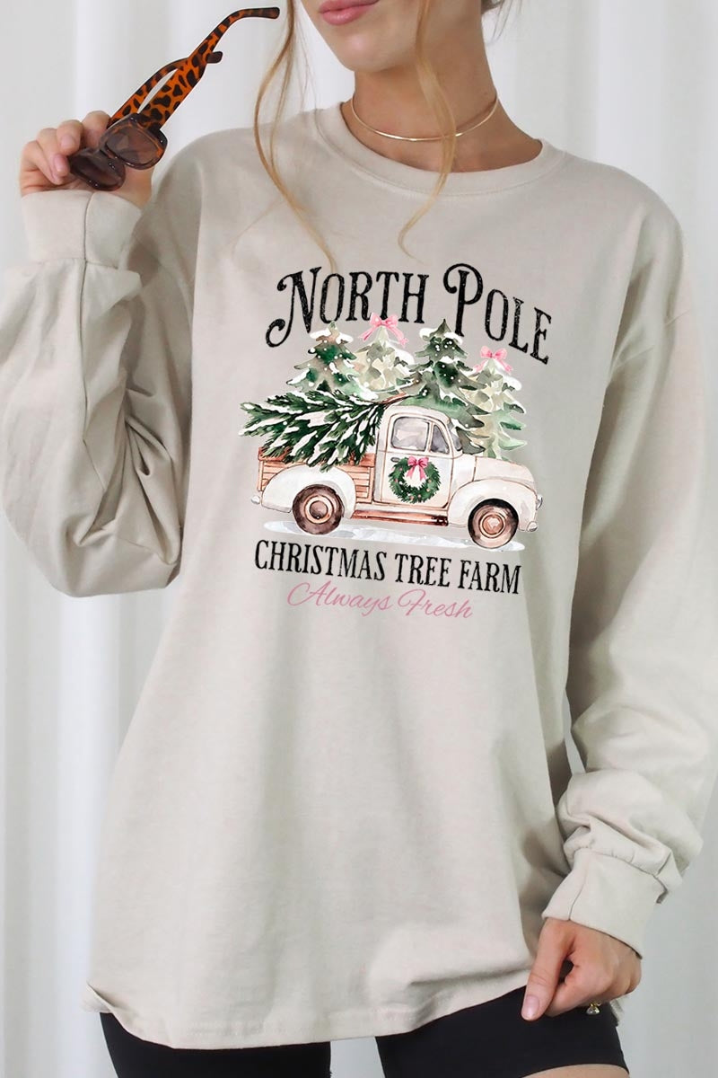 UL240-E3174 North Pole Christmas Graphic Long Sleeve Tee $13.75