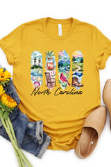 US3001P-E3061NC North Carolina State Brushstroke Graphic Plus Tee $16