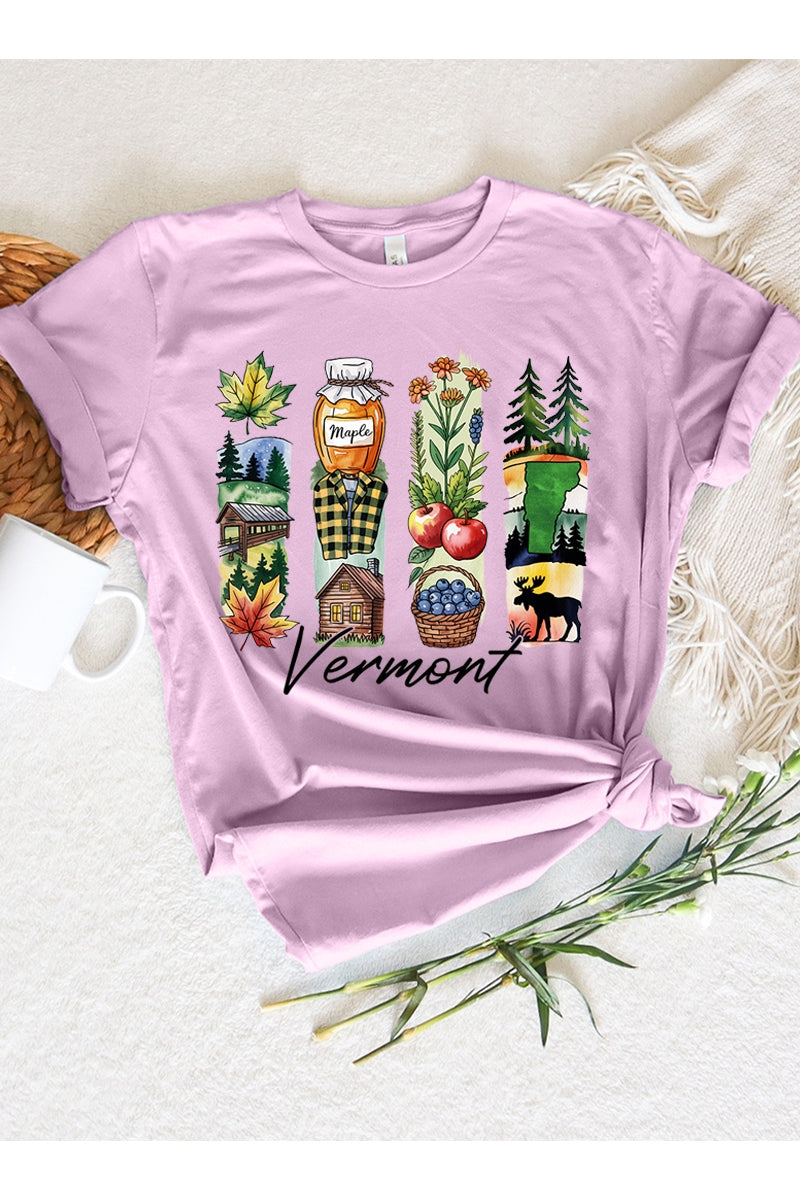 US3001-E3061VT Vermont State Brushstroke Graphic Tee $12.5
