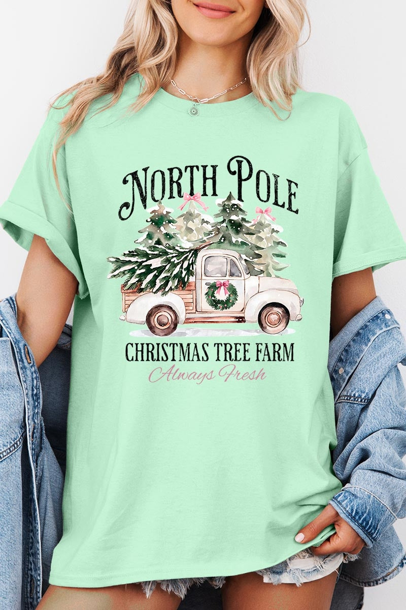 5000-E3174 North Pole Christmas Graphic Heavy Cotton Tee $9