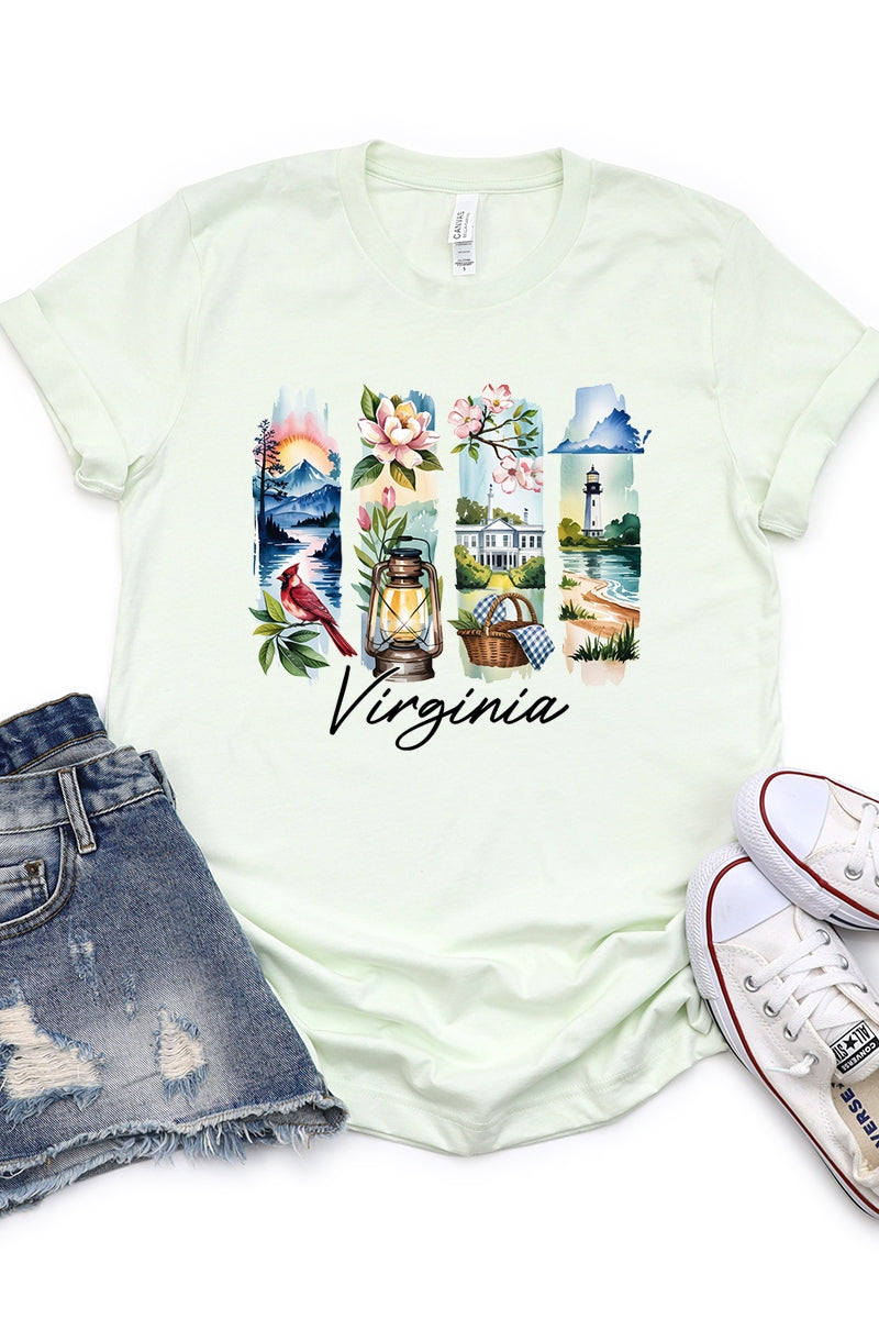 US3001-E3061VA Virginia State Brushstroke Graphic Tee $12.5
