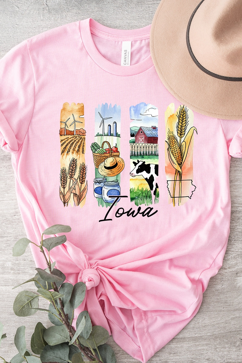 US3001-E3061IA Iowa State Brushstroke Graphic Tee $12.5