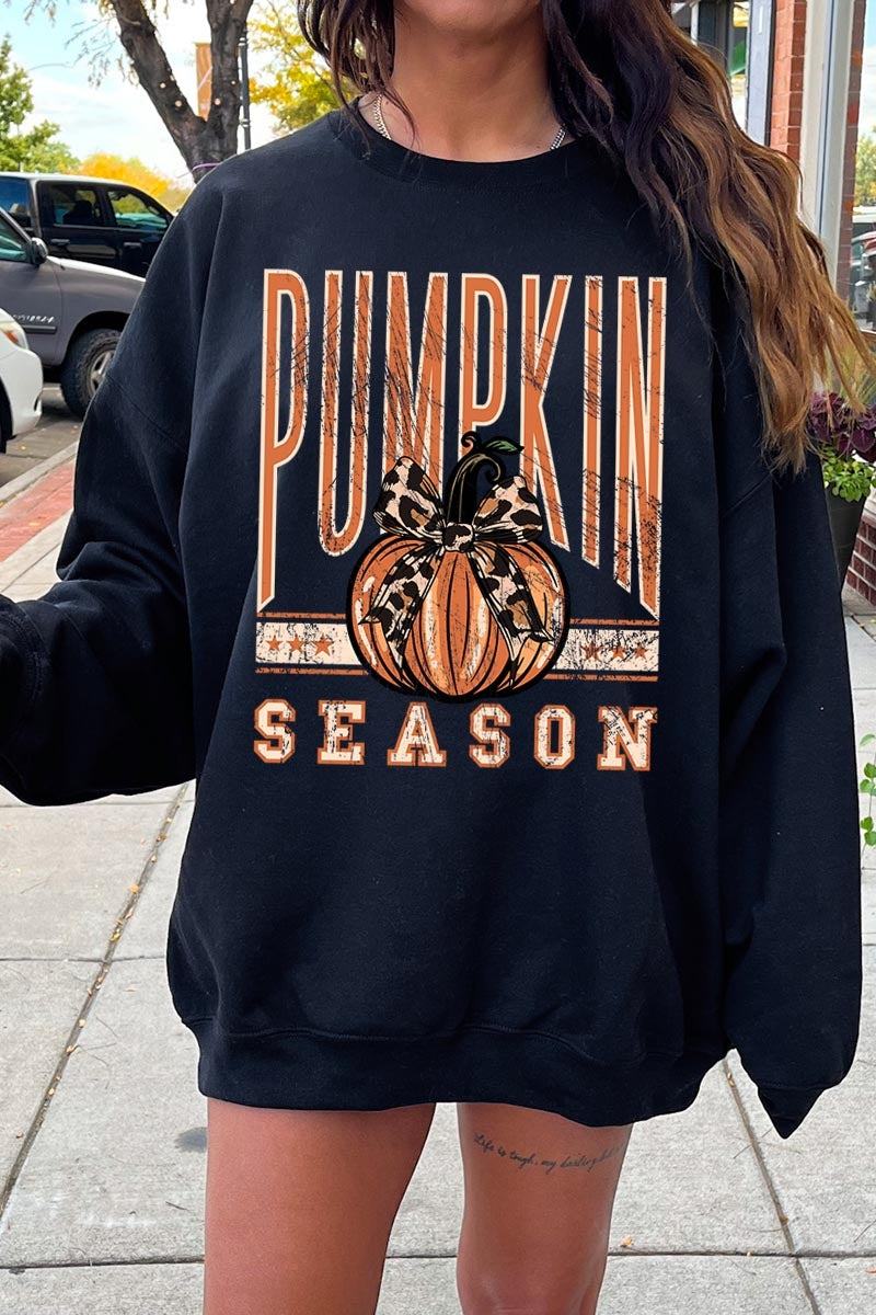 UL180-E3145 Pumpkin Season Graphic Sweatshirt $20