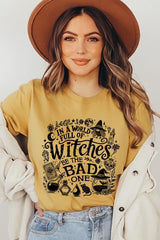 US3001P-E3139 In a World of Witches Graphic Plus Tee $16