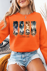 UL180-E3204 Savior Is Born Nativity Graphic Sweatshirt $20