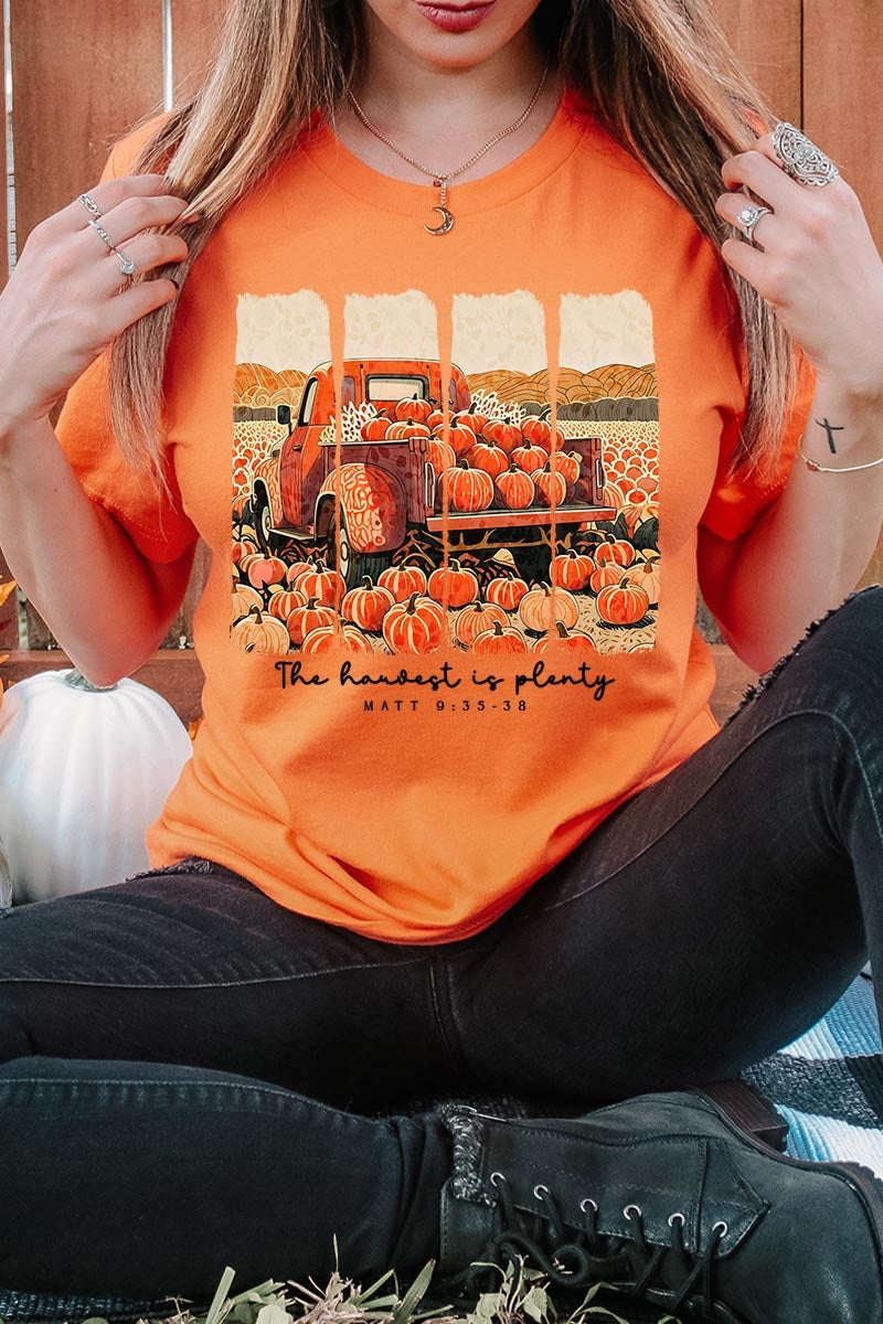 US3001-E3172 Harvest Is Plenty Graphic Tee $12.5