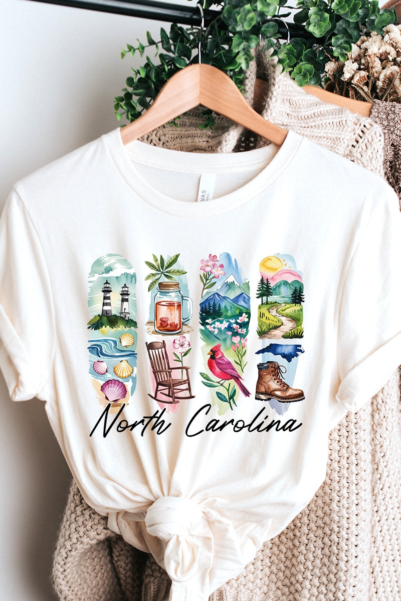 US3001-E3061NC North Carolina State Brushstroke Graphic Tee $12.5