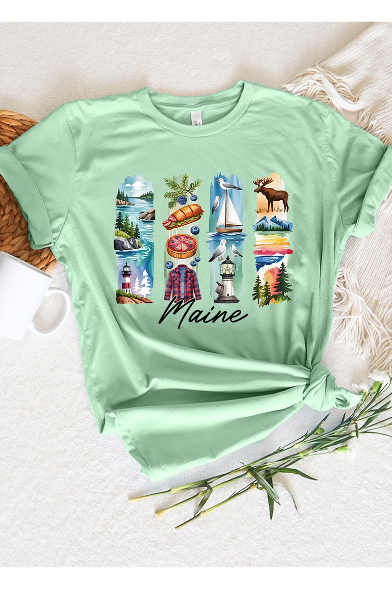 US3001P-E3061ME Maine State Brushstroke Graphic Plus Tee $16