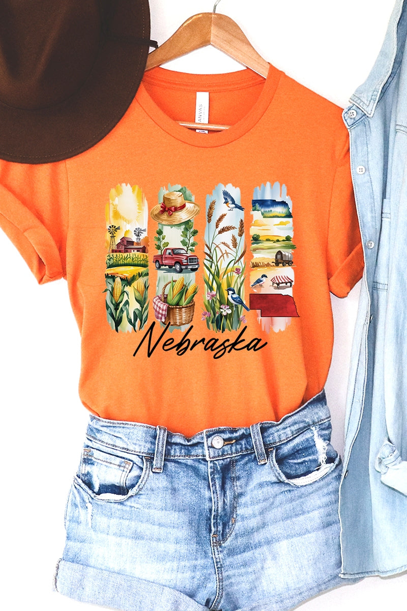 US3001-E3061NE Nebraska State Brushstroke Graphic Tee $12.5