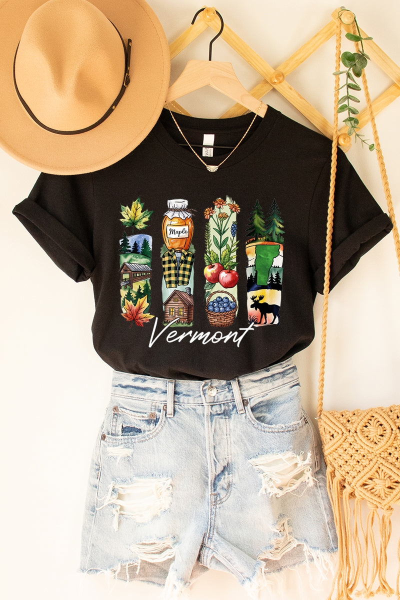 US3001P-E3061VT Vermont State Brushstroke Graphic Plus Tee $16