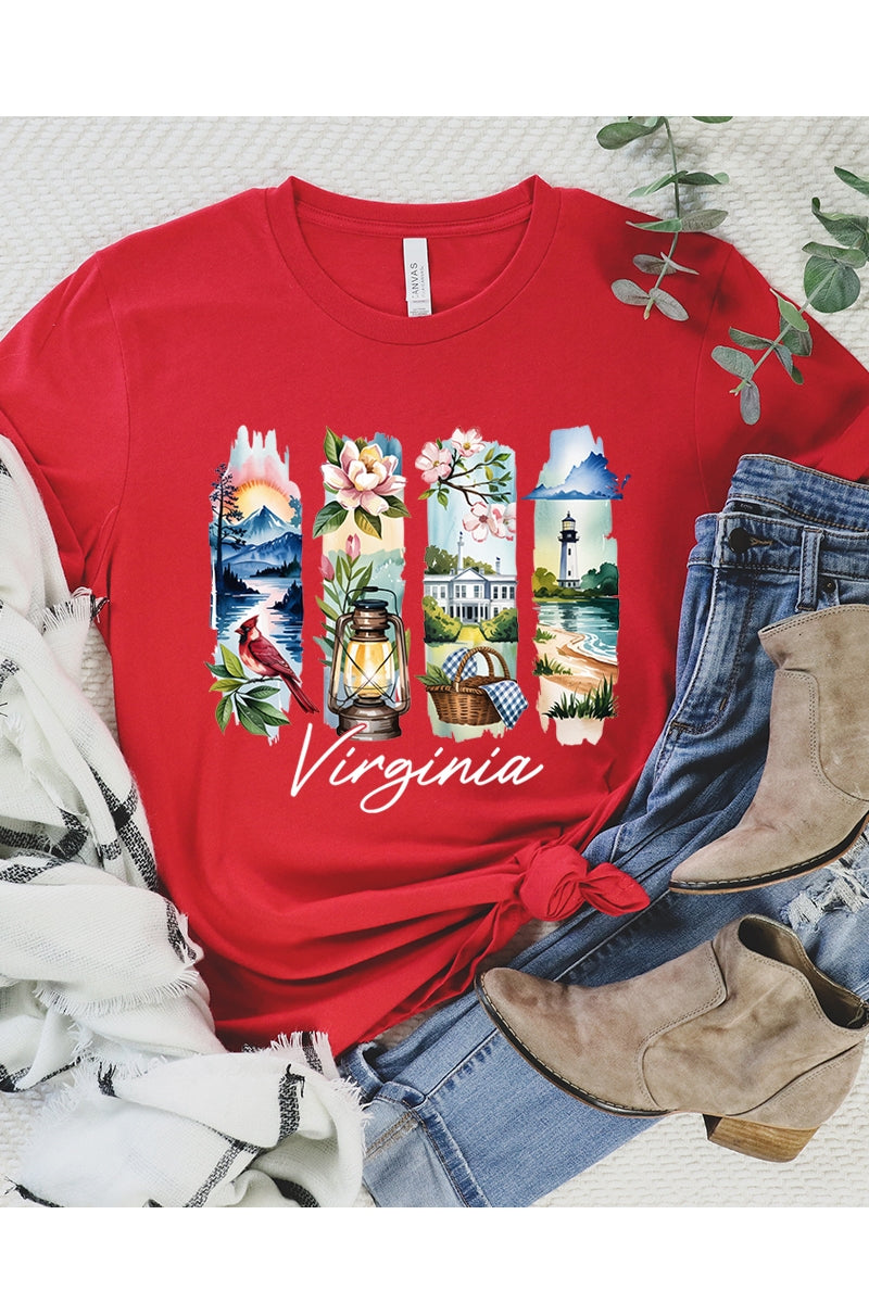 US3001P-E3061VA Virginia State Brushstroke Graphic Plus Tee $16