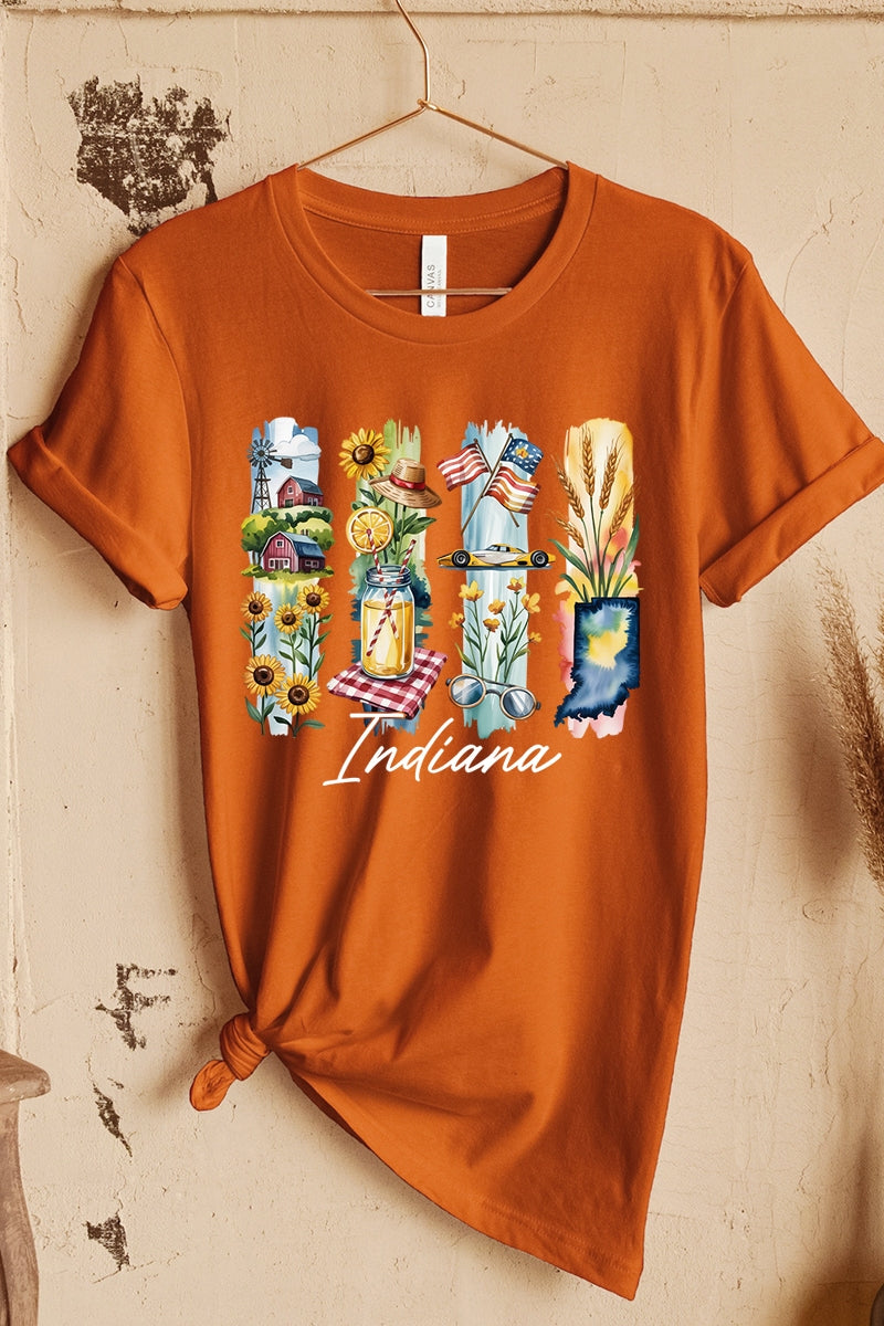 US3001P-E3061IN Indiana State Brushstroke Graphic Plus Tee $16