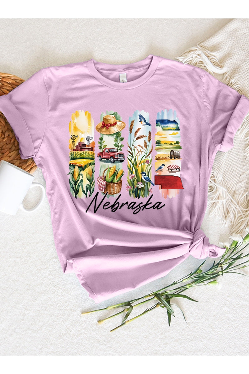 US3001-E3061NE Nebraska State Brushstroke Graphic Tee $12.5