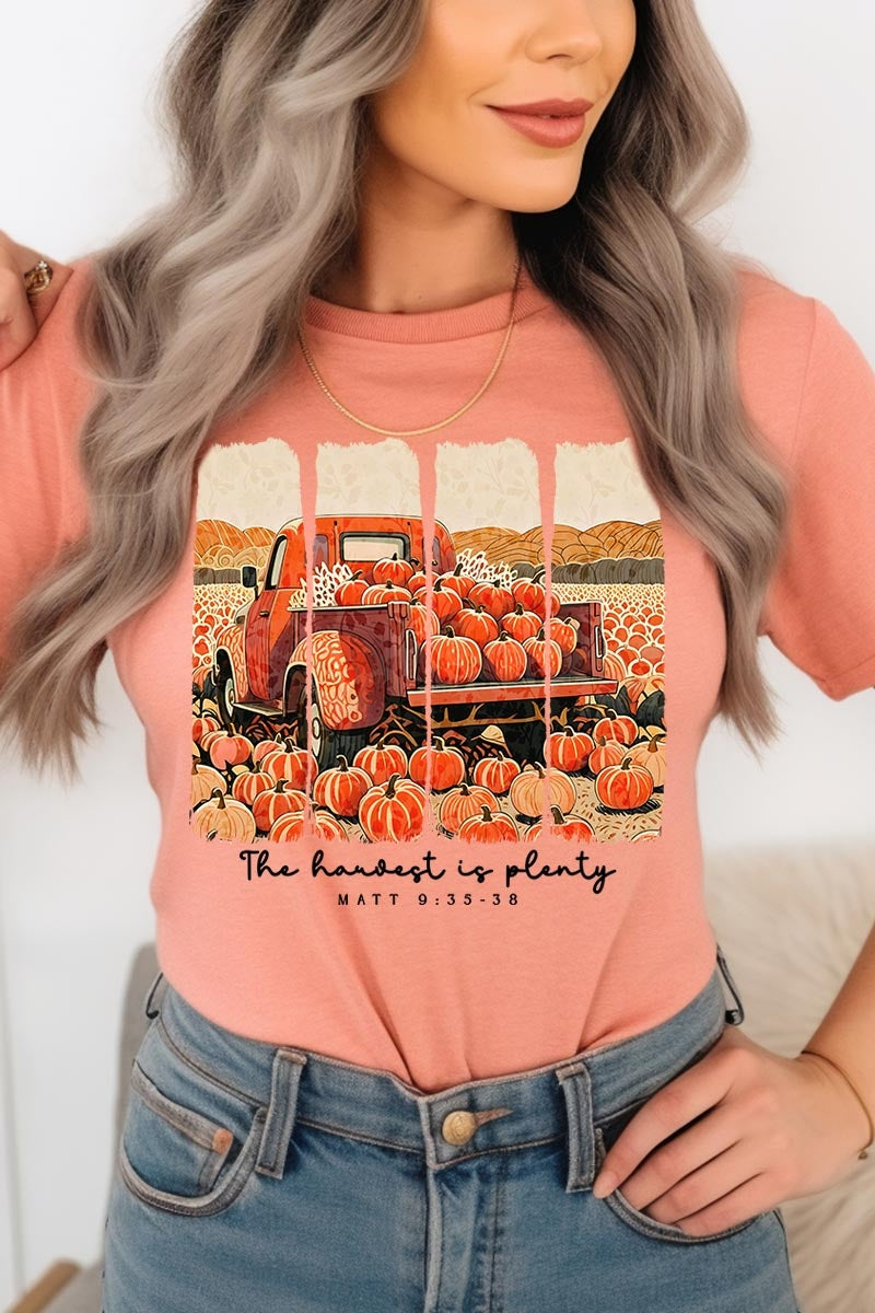 US3001P-E3172 Harvest Is Plenty Graphic Plus Tee $16