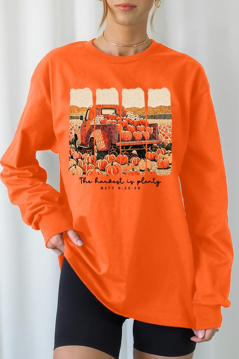 UL240-E3172 Harvest Is Plenty Graphic Long Sleeve Tee $13.75