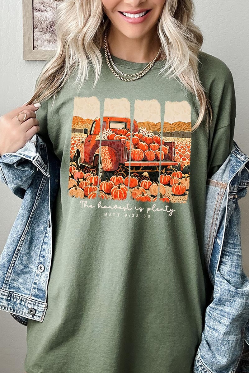 5000-E3172 Harvest Is Plenty Graphic Heavy Cotton Tee $9