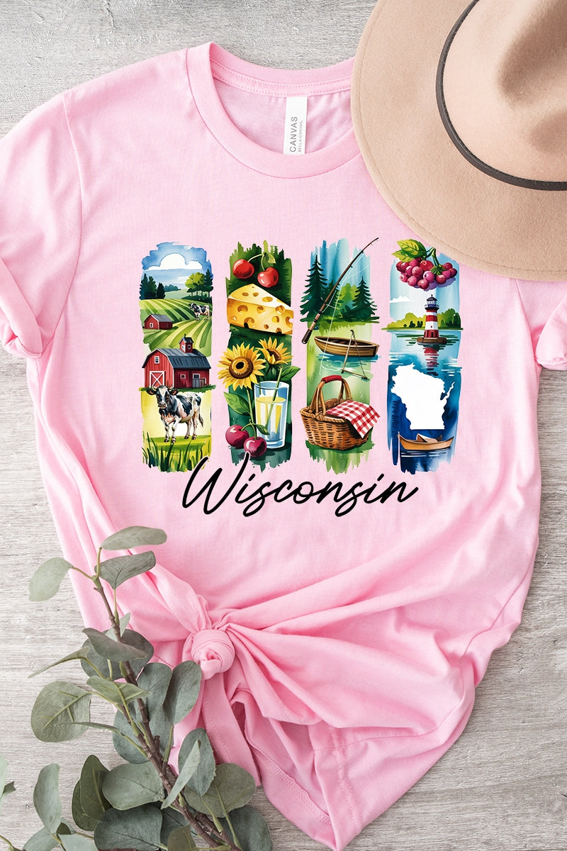 US3001P-E3061WI Wisconsin State Brushstroke Graphic Plus Tee $16