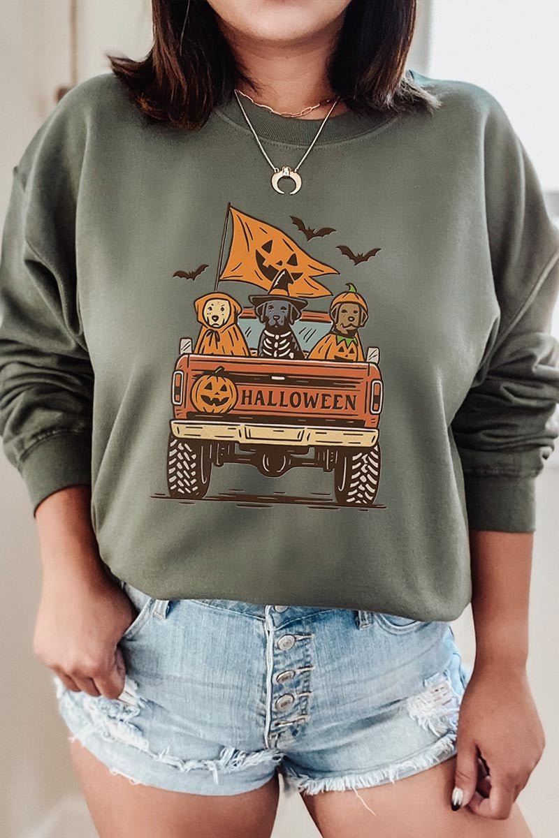 UL180-E3150 Halloween Truck Dogs Graphic Sweatshirt $20