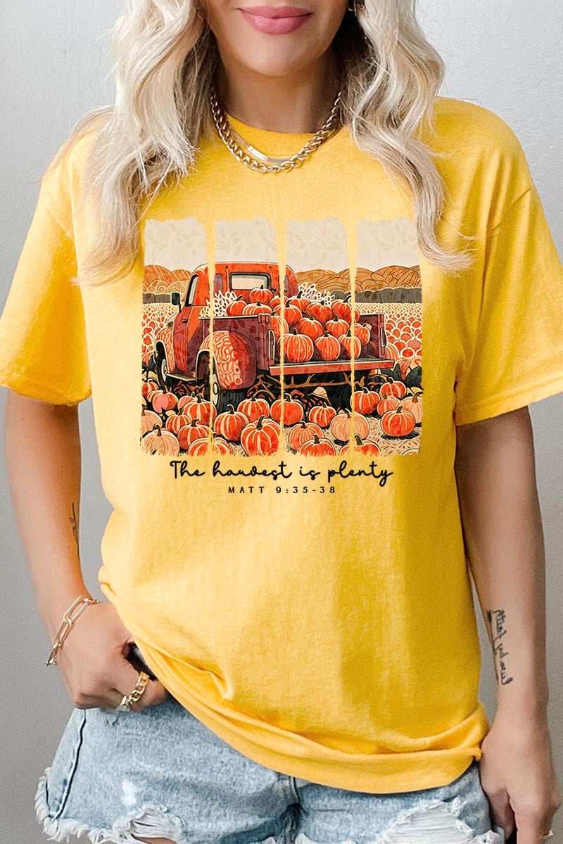 5000P-E3172 Harvest Is Plenty Graphic Plus Heavy Cotton Tee $12.75