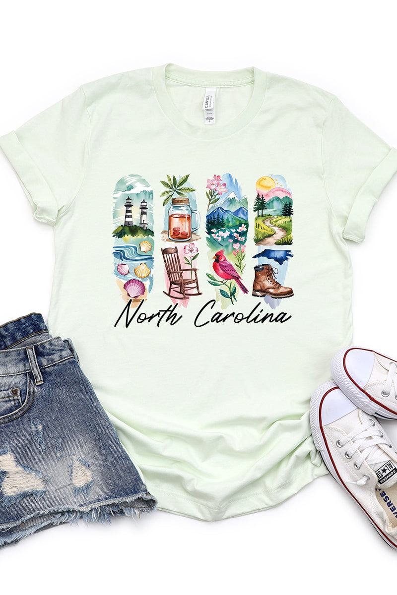US3001P-E3061NC North Carolina State Brushstroke Graphic Plus Tee $16