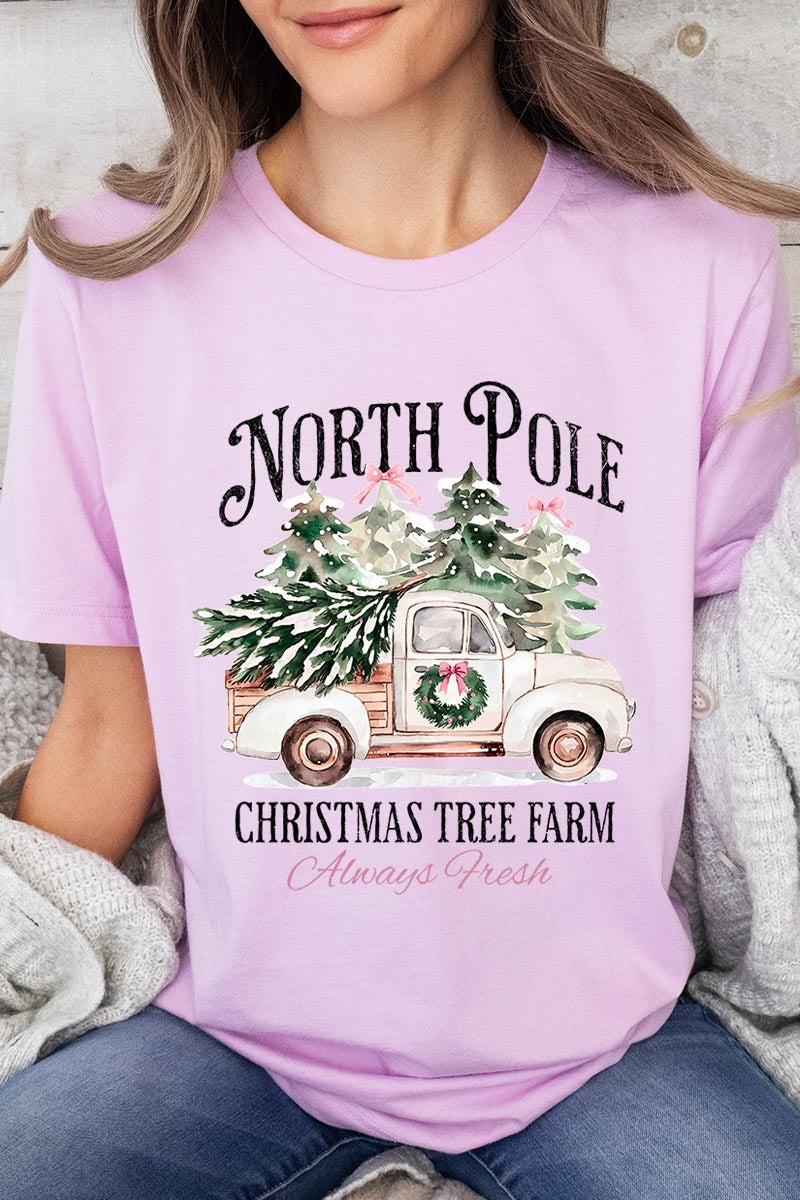 US3001P-E3174 North Pole Christmas Graphic Plus Tee $16