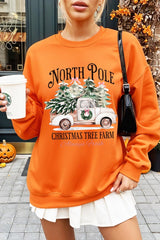 UL180-E3174 North Pole Christmas Graphic Sweatshirt $20