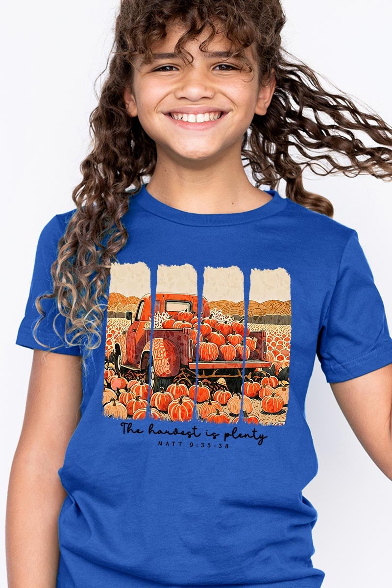 US3001Y-E3172Z Harvest Is Plenty Kids Graphic Tee $11