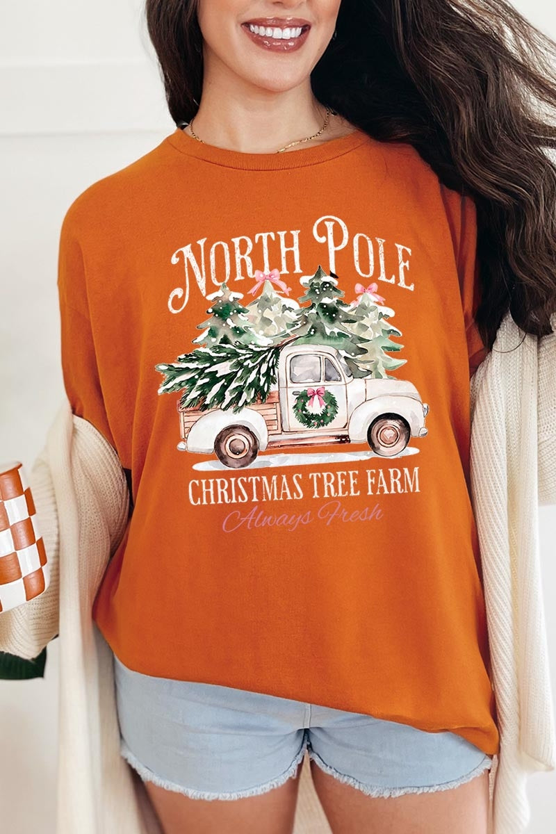 5000-E3174 North Pole Christmas Graphic Heavy Cotton Tee $9