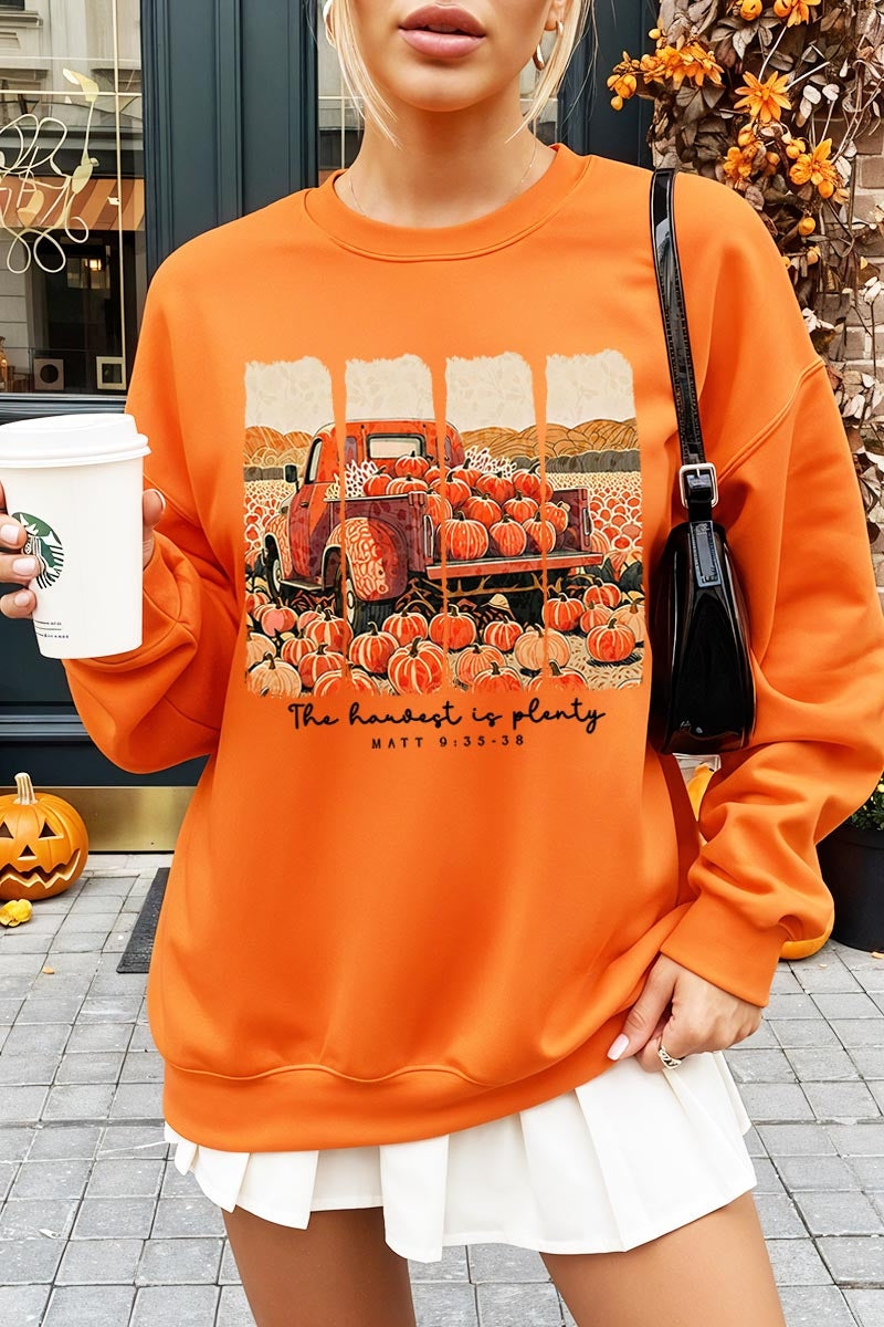 UL180-E3172 Harvest Is Plenty Graphic Sweatshirt $20