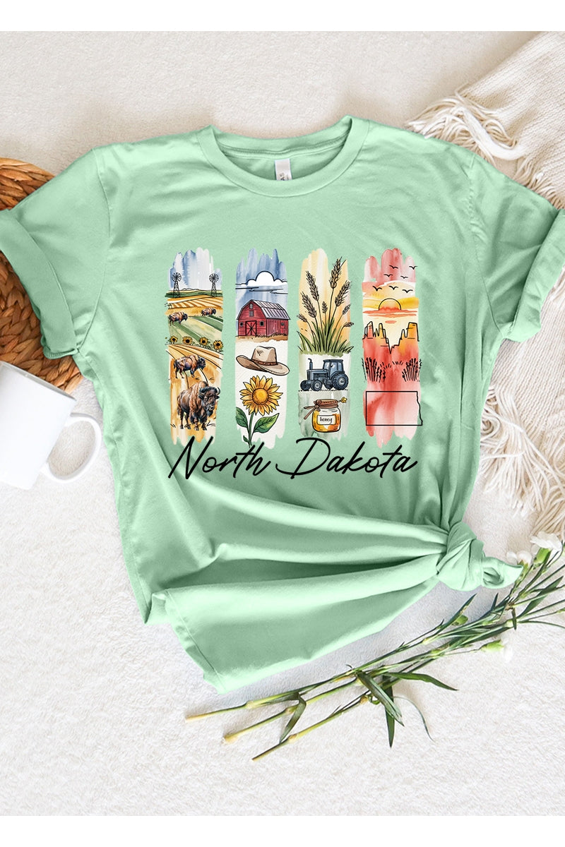 US3001-E3061ND North Dakota State Brushstroke Graphic Tee $12.5