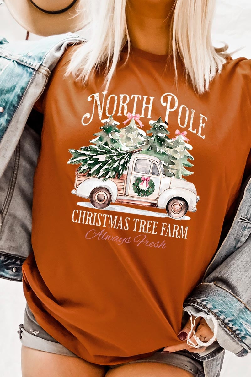 US3001P-E3174 North Pole Christmas Graphic Plus Tee $16