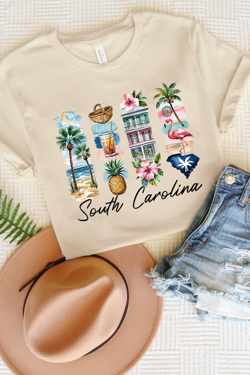 US3001P-E3061SC South Carolina State Brushstroke Graphic Plus Tee $16