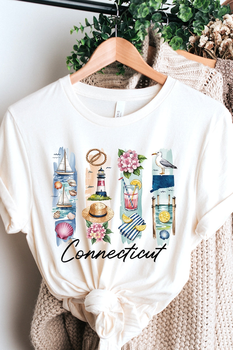 US3001P-E3061CT Connecticut State Brushstroke Graphic Plus Tee $16
