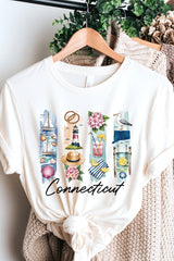 US3001P-E3061CT Connecticut State Brushstroke Graphic Plus Tee $16