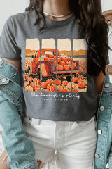 US3001-E3172 Harvest Is Plenty Graphic Tee $12.5