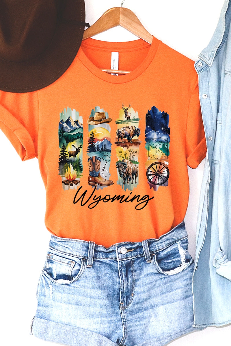 US3001-E3061WY Wyoming State Brushstroke Graphic Tee $12.5