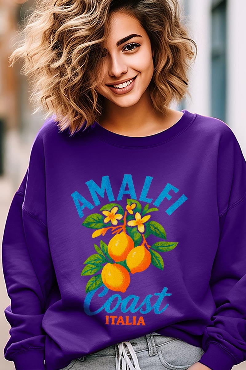 UL180-E3470 America 250 Gingham Graphic Sweatshirt $20