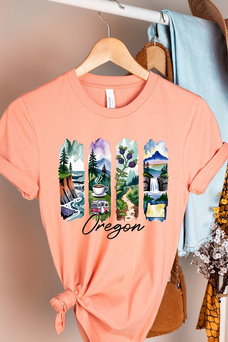 US3001P-E3061OR Oregon State Brushstroke Graphic Plus Tee $16
