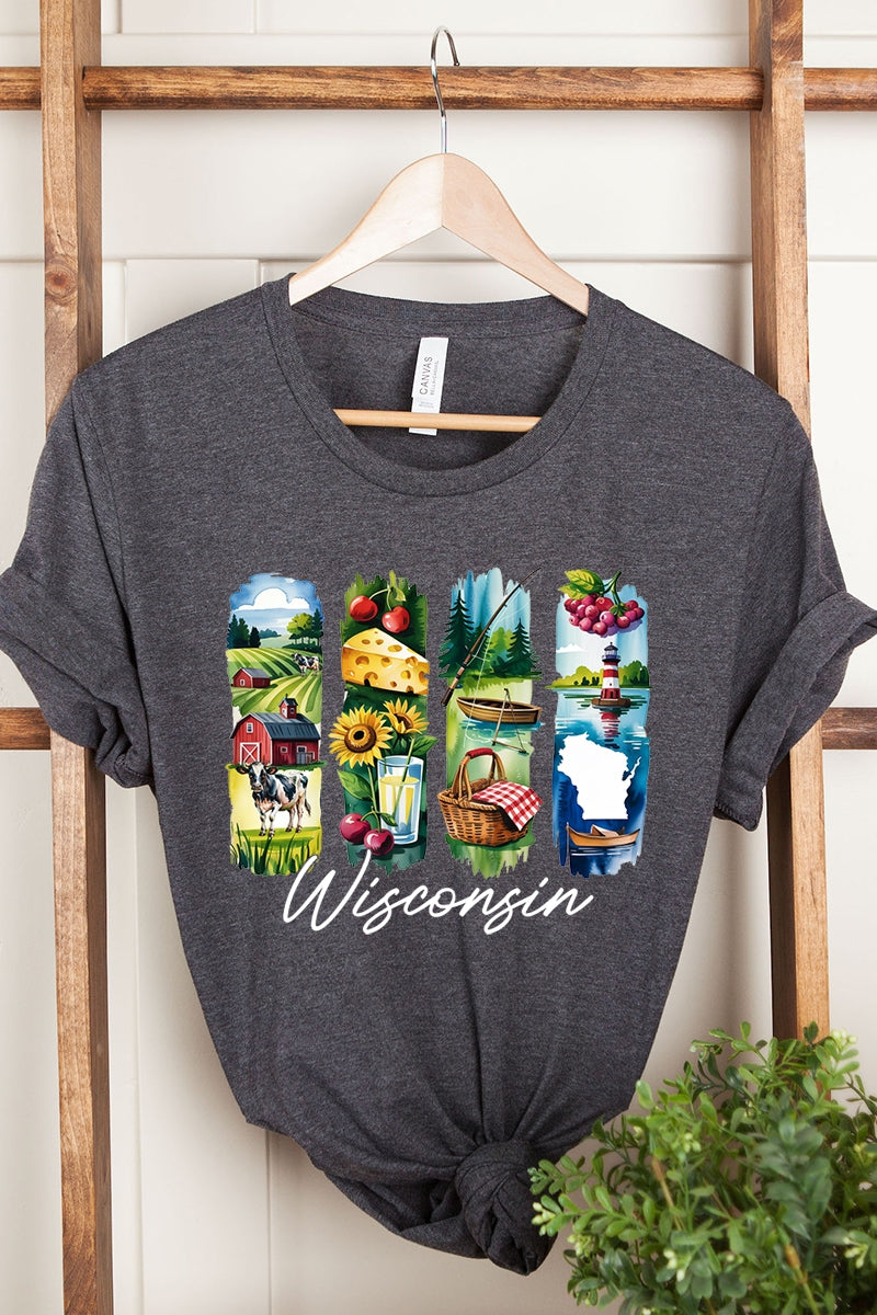US3001P-E3061WI Wisconsin State Brushstroke Graphic Plus Tee $16