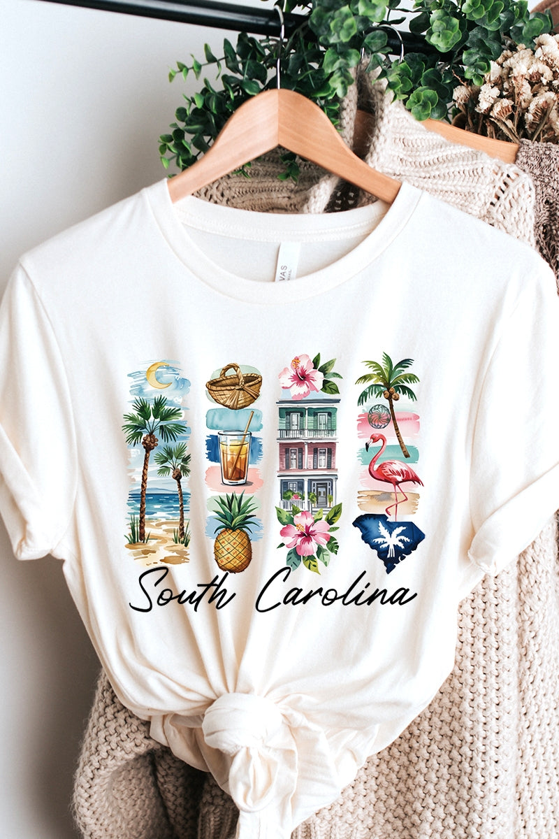 US3001P-E3061SC South Carolina State Brushstroke Graphic Plus Tee $16