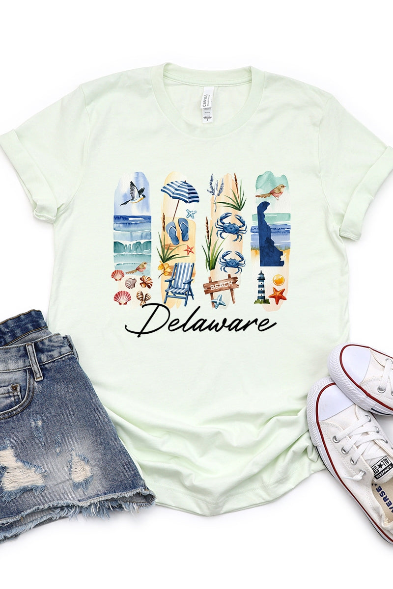 US3001P-E3061DE Delaware State Brushstroke Graphic Plus Tee $16