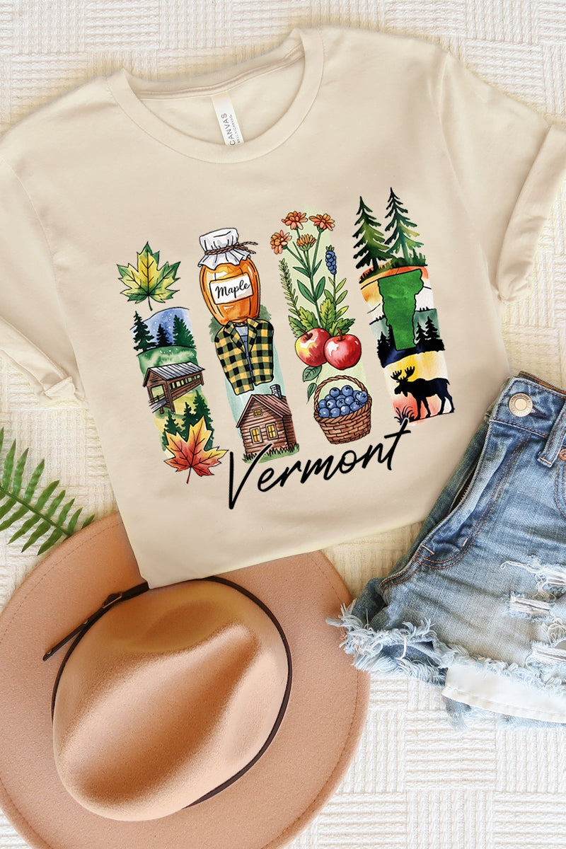 US3001P-E3061VT Vermont State Brushstroke Graphic Plus Tee $16