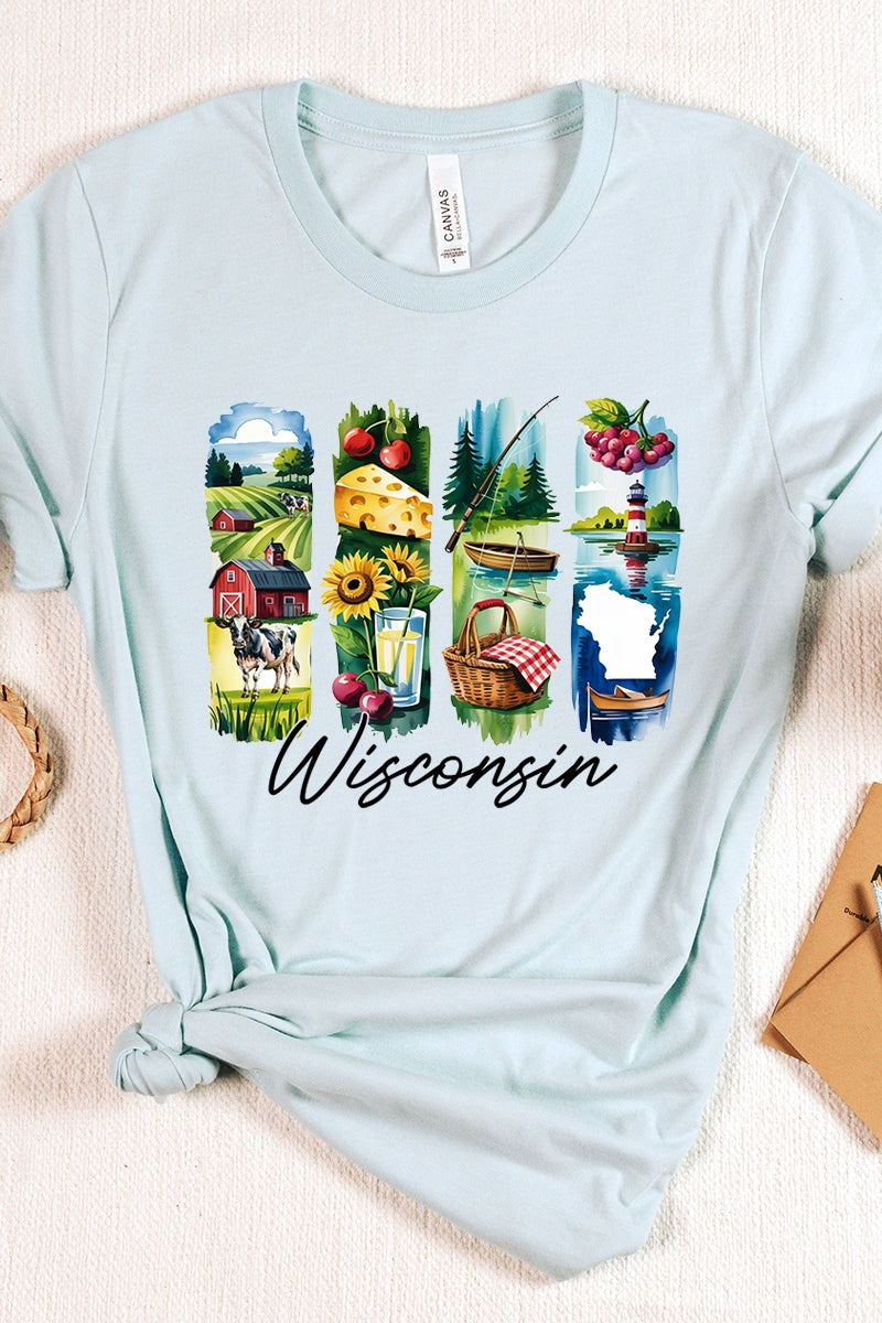 US3001P-E3061WI Wisconsin State Brushstroke Graphic Plus Tee $16